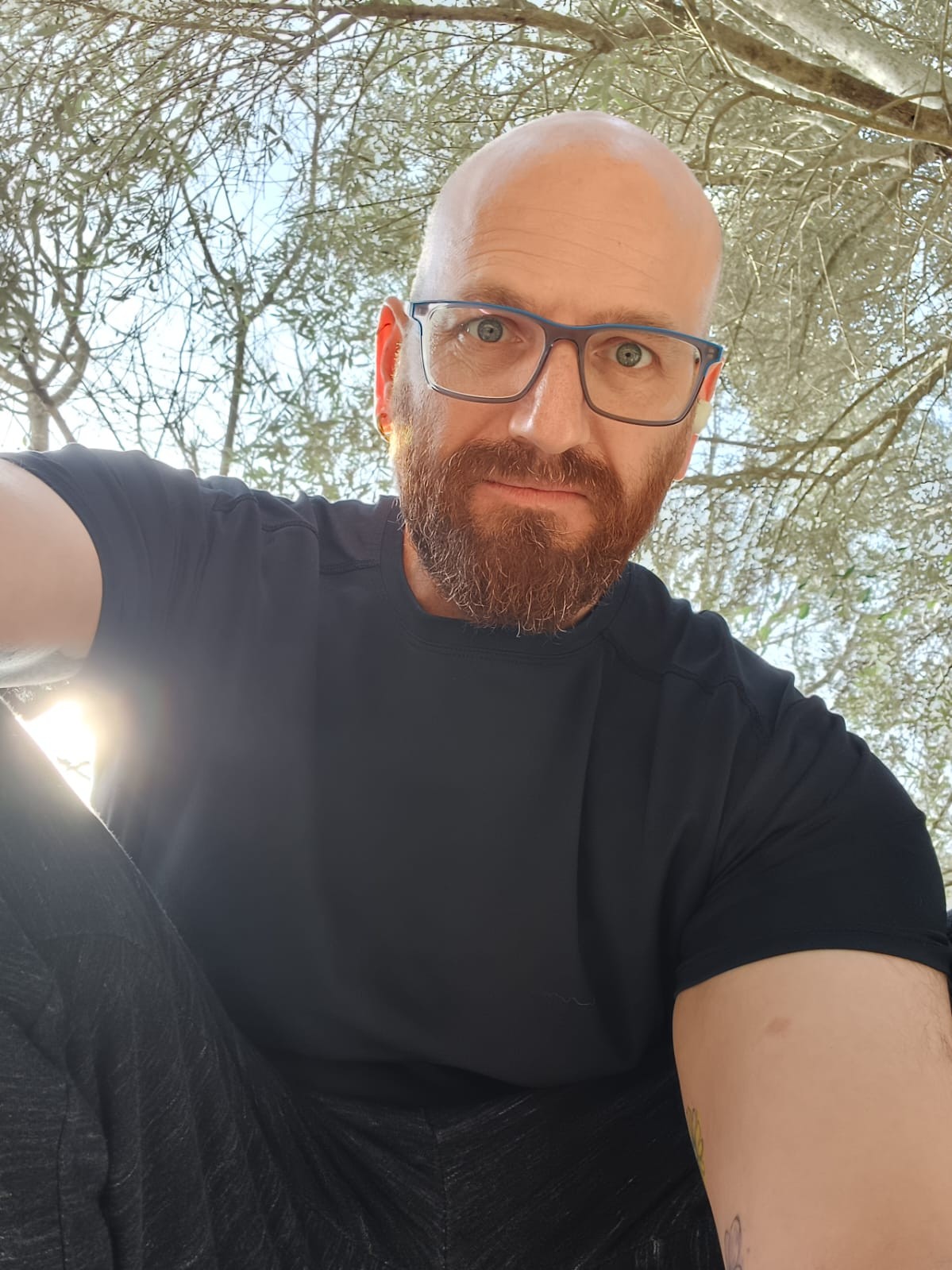 תדהר כהן גולן